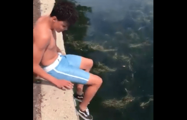 VIDÉO : un jeune homme se fait attaquer par un cygne, la réaction de sa copine est hilarante