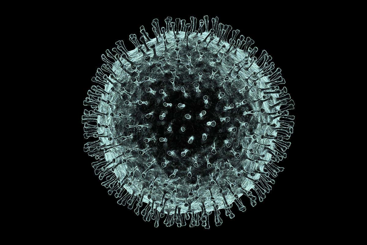 Coronavirus : malades, guéris, le bilan région par région.