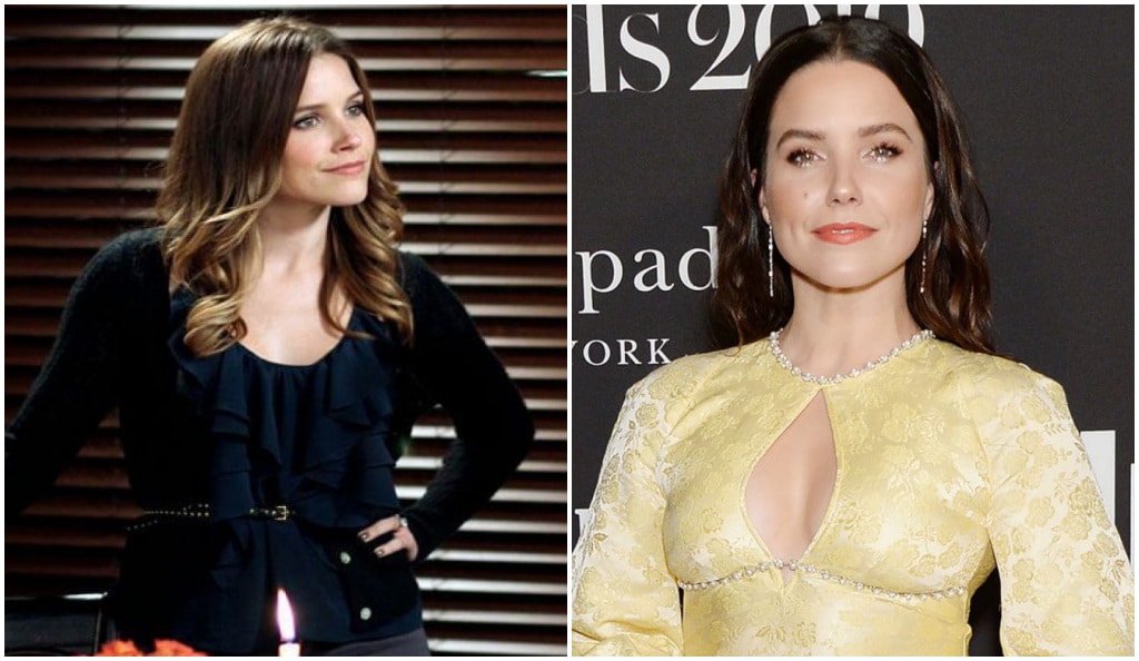 Sophia Bush : qui est nouveau petit ami ?