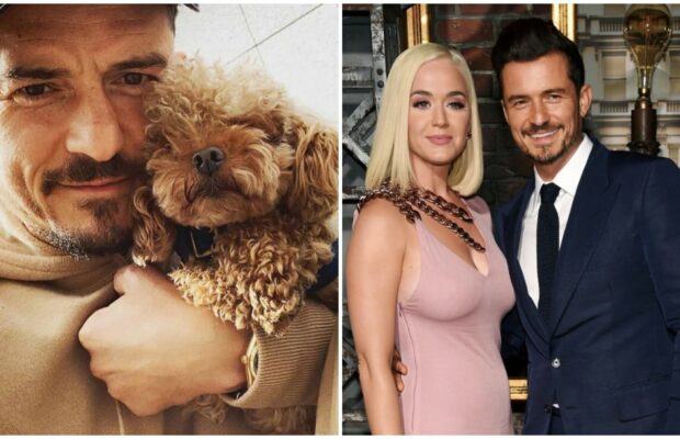 orlando-bloom-annonce-deces-chien-mighty-se-fait-tatouer-hommage