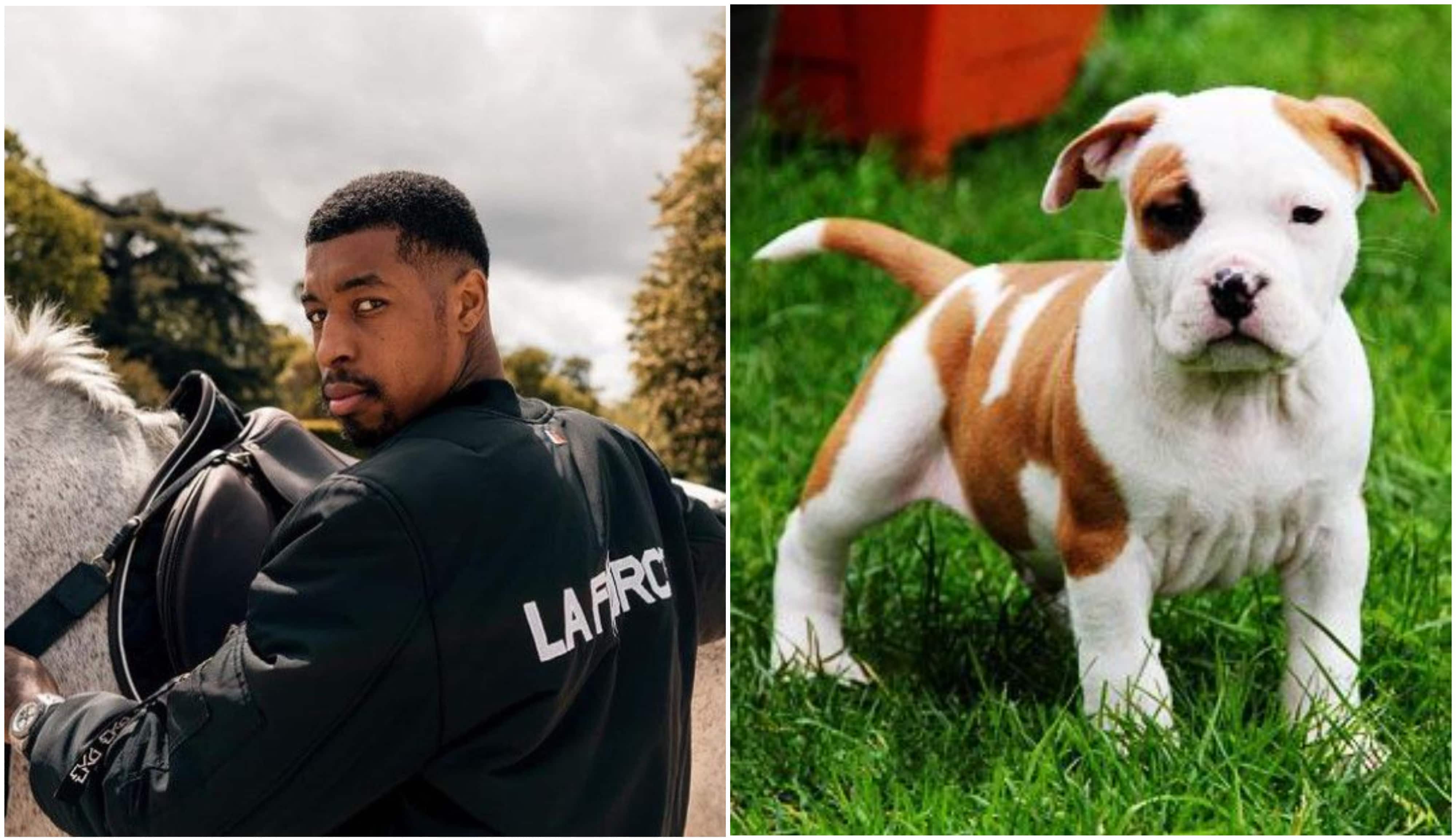 Un chien fortement battu en pleine rue appartenait au footballeur Presnel Kimpembe