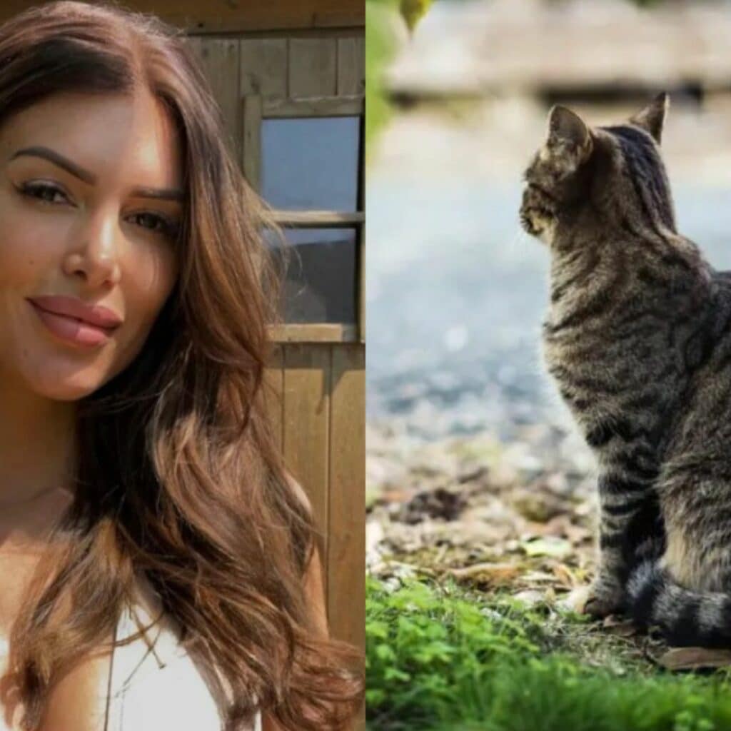 Maeva Martinez : son chat disparu, elle retrouve des ossements chez sa voisine