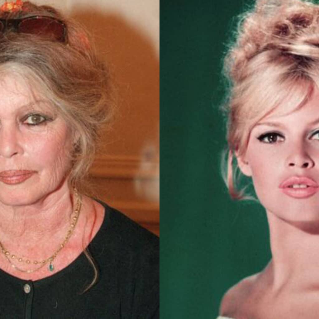 Brigitte Bardot 'entre la vie et la mort' ? La star prend la parole