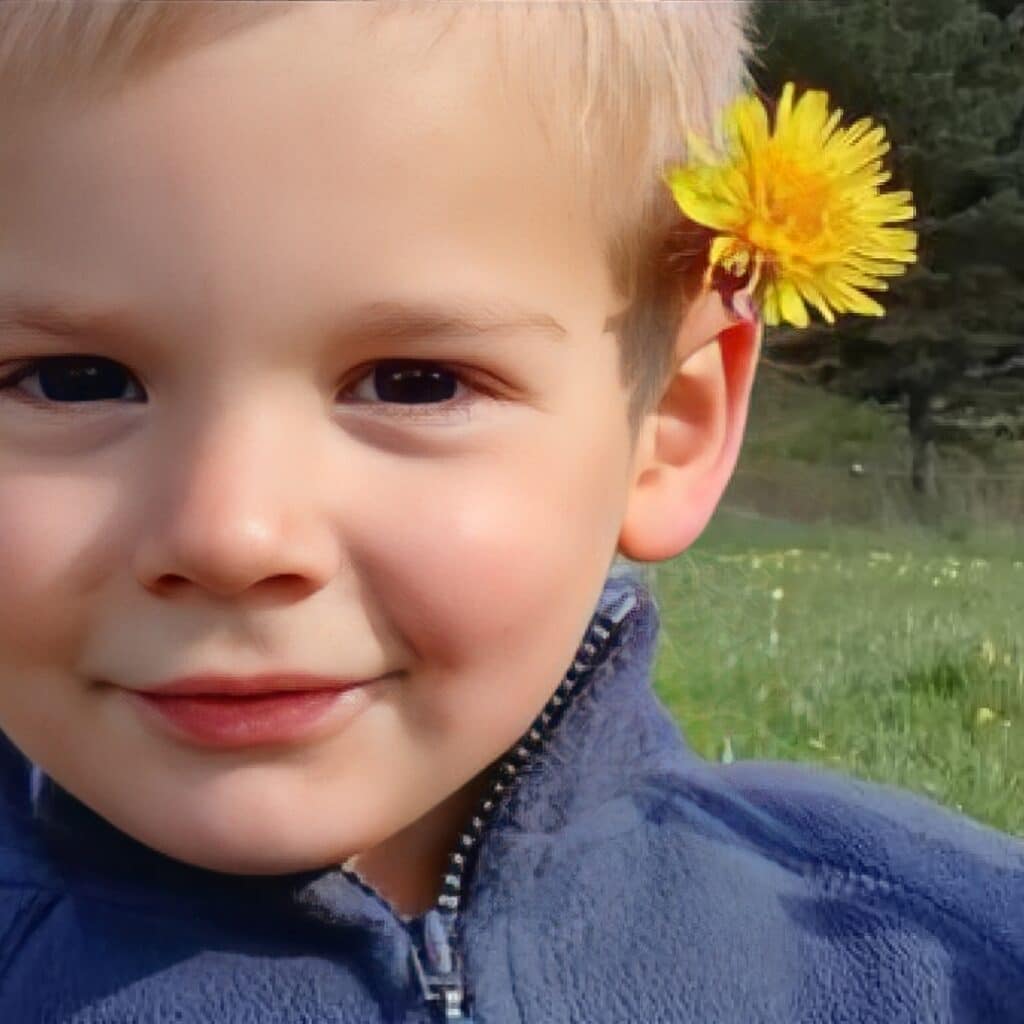 Disparition d’Emile : 'Il aurait pu passer dans un engin agricole', la terrible piste étudiée se précise