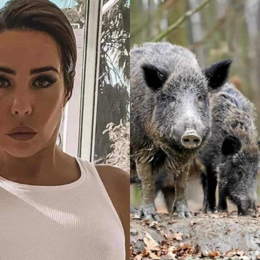 Kim Glow : paniquée à cause de sangliers qui l'empêchent de sortir de chez elle