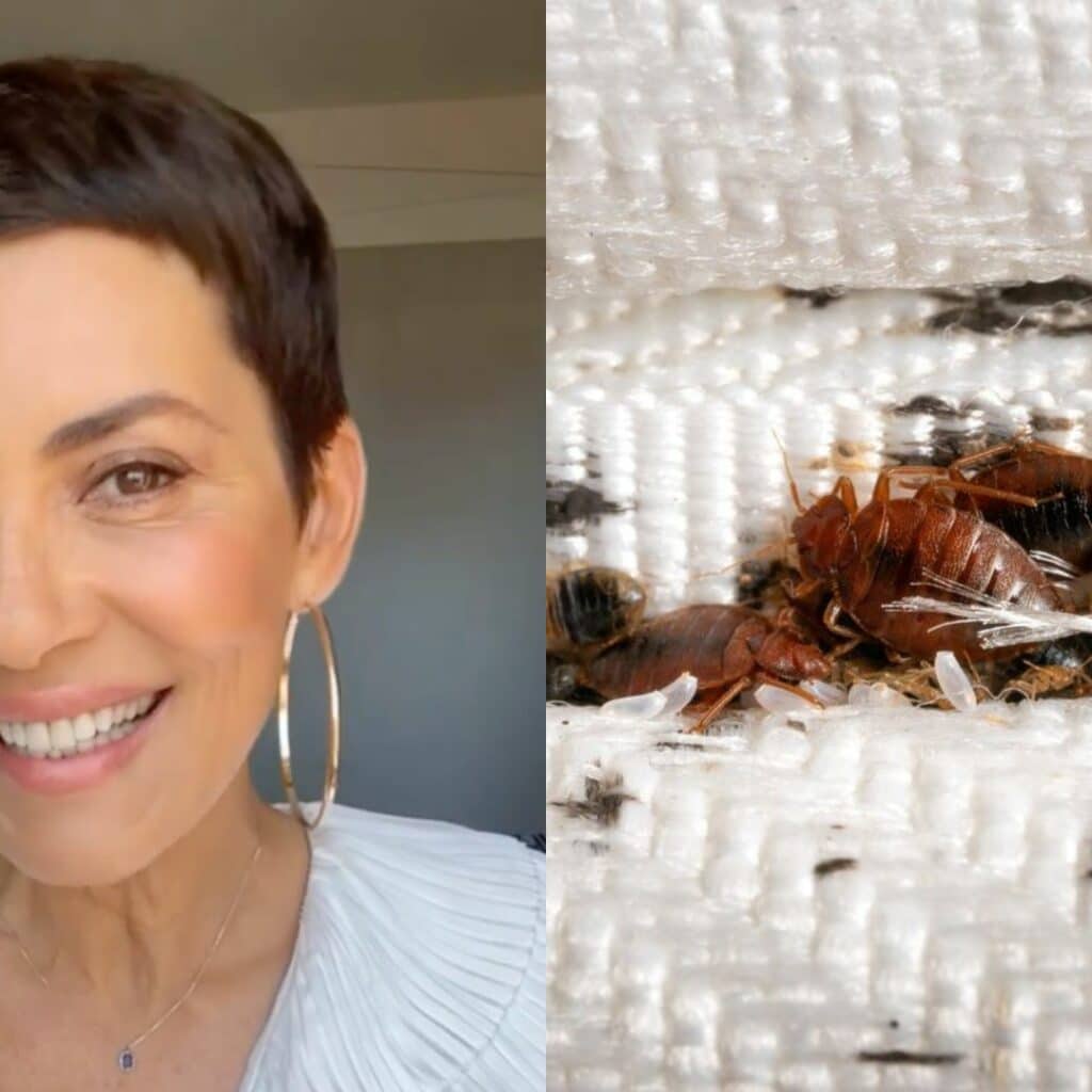 Cristina Cordula : désespérée face aux punaises de lit, elle raconte son combat