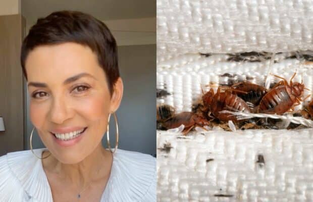 Cristina Cordula : désespérée face aux punaises de lit, elle raconte son combat Cristina Cordula : désespérée face aux punaises de lit, elle raconte son combat