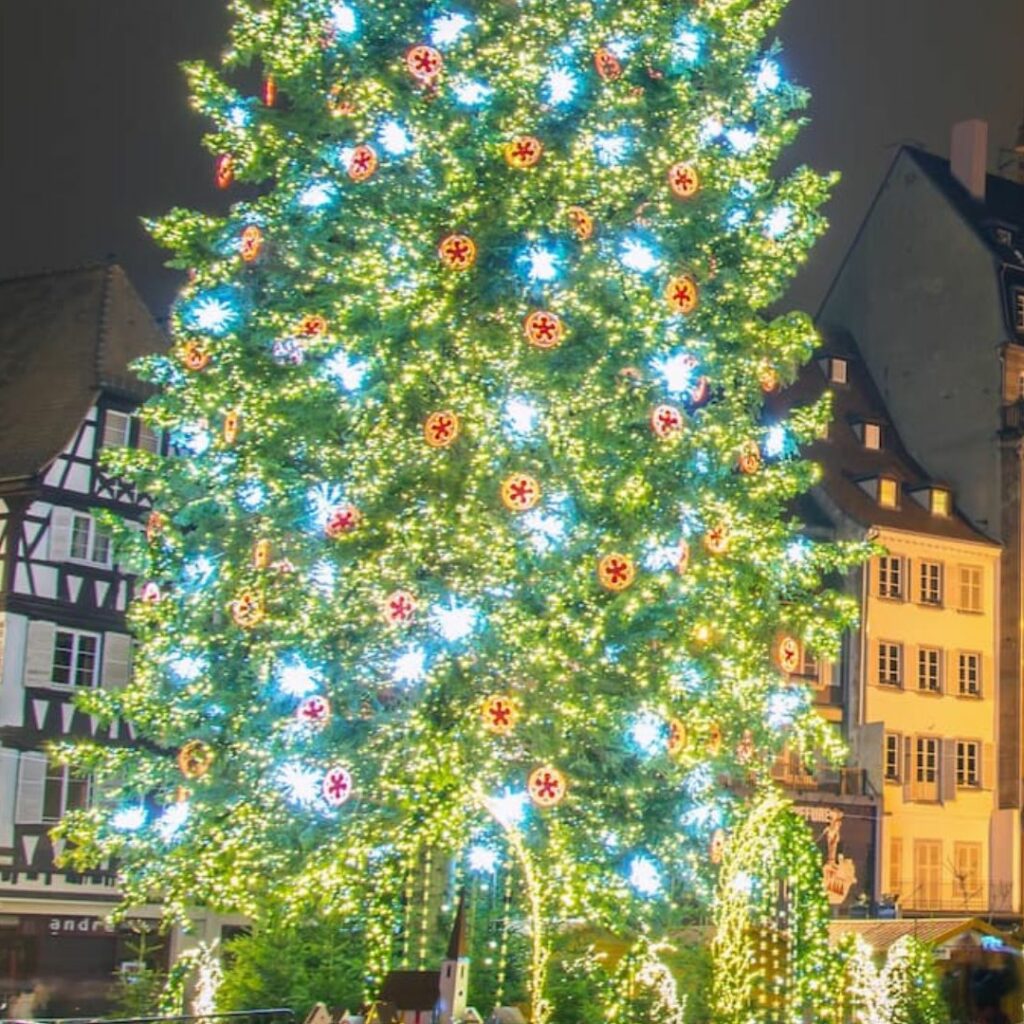 Belgique : le sapin géant du marché de Noël s’envole et tue une sexagénaire
