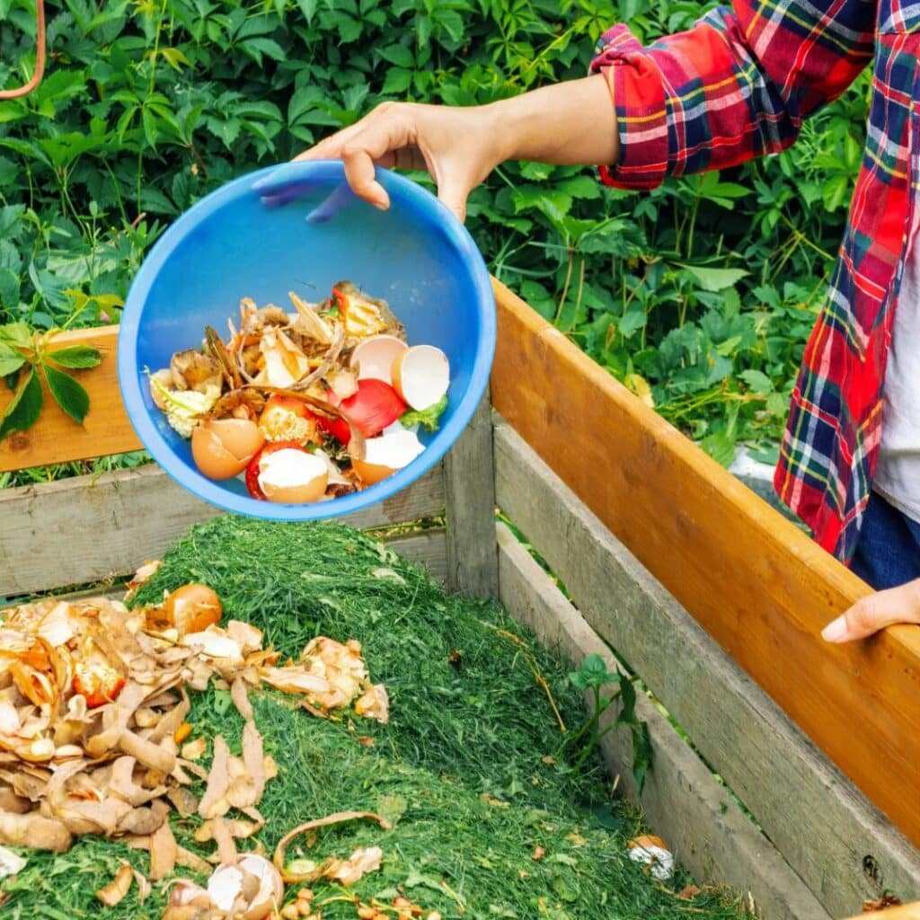 Compostage obligatoire en 2024 : les déchets à ne surtout pas mettre dans votre bac à compost se précisent