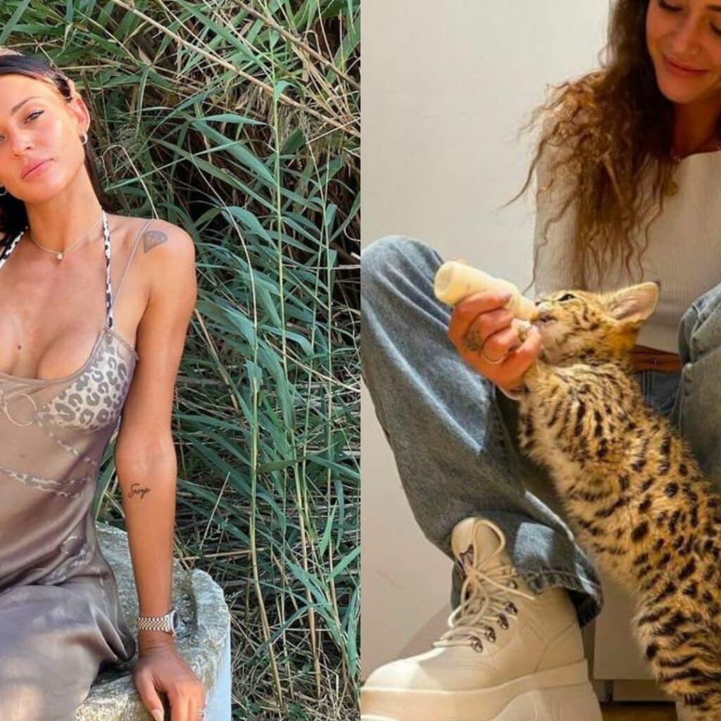 "J'ai plusieurs procès en cours" : Alix accusée d'avoir abandonné son chat, elle rétablit la vérité