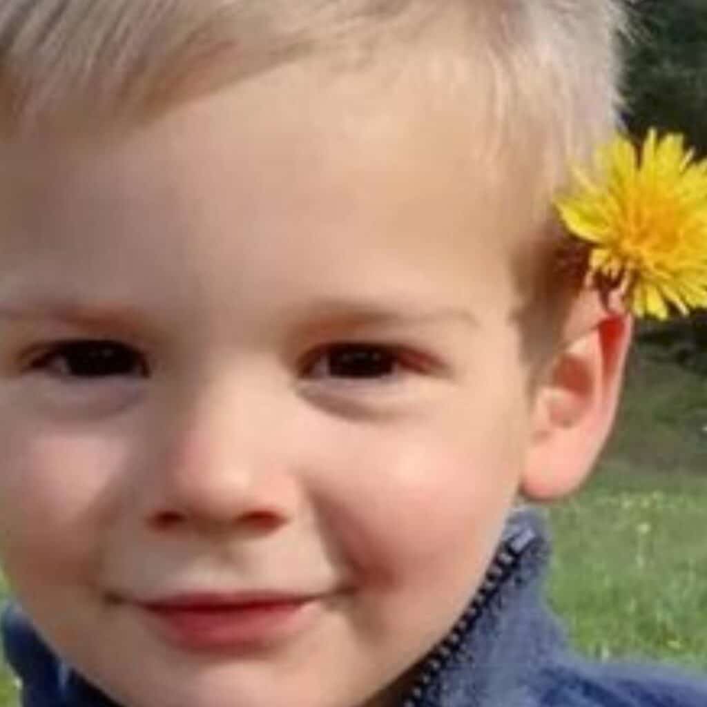 Disparition d'Émile : des ossements retrouvés près d'un ruisseau
