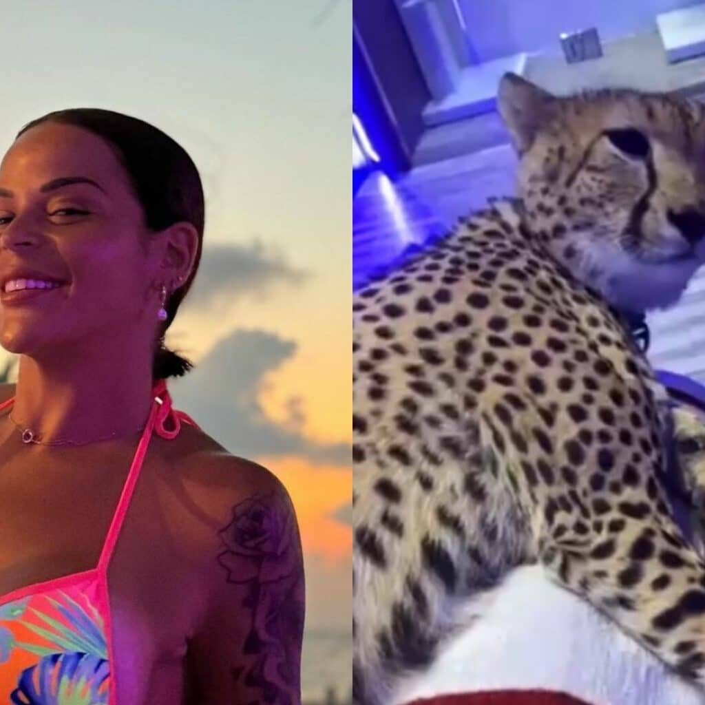 Sarah Fraisou : elle se filme avec un guépard et manque de "perdre son visage"