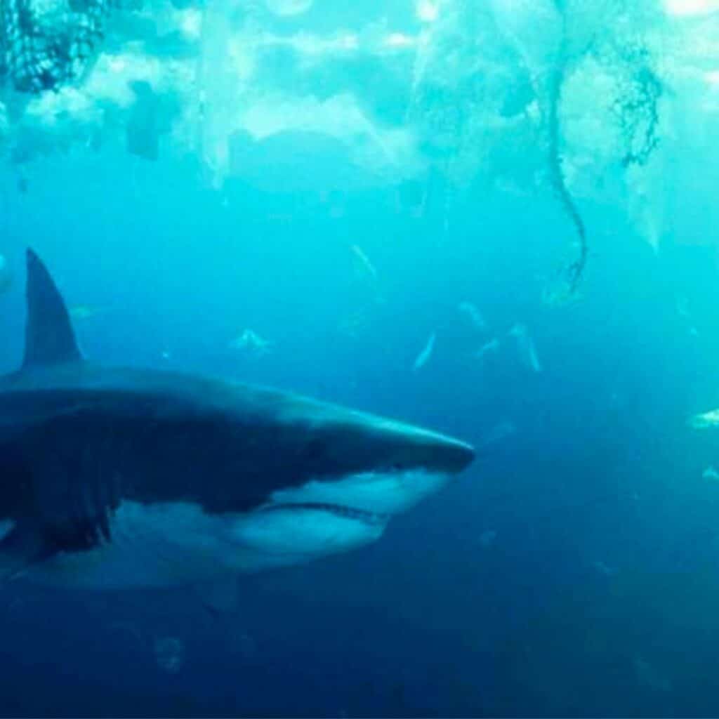 Sous la Seine (Netflix) : des scientifiques très mécontents après la sortie du film
