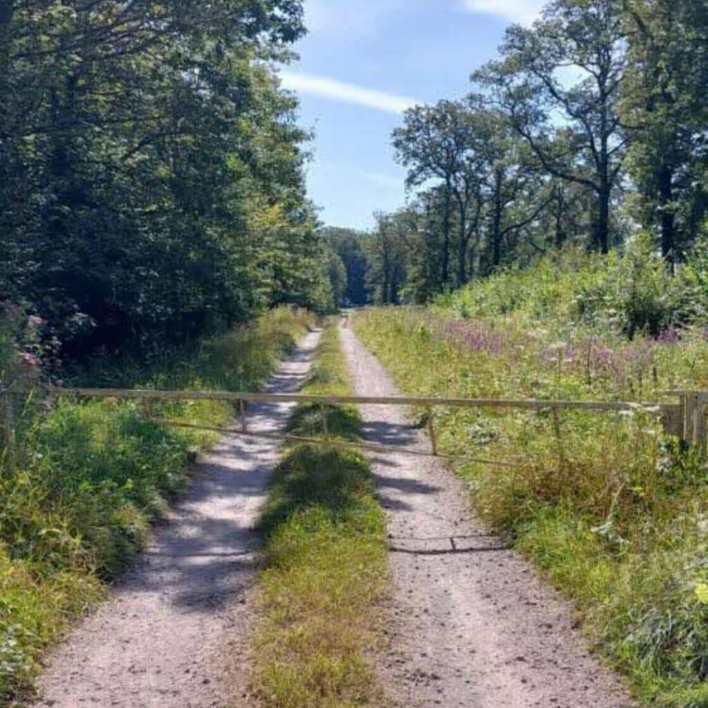 Disparition de Lina, 15 ans : une zone boisée va être ratissée par les enquêteurs