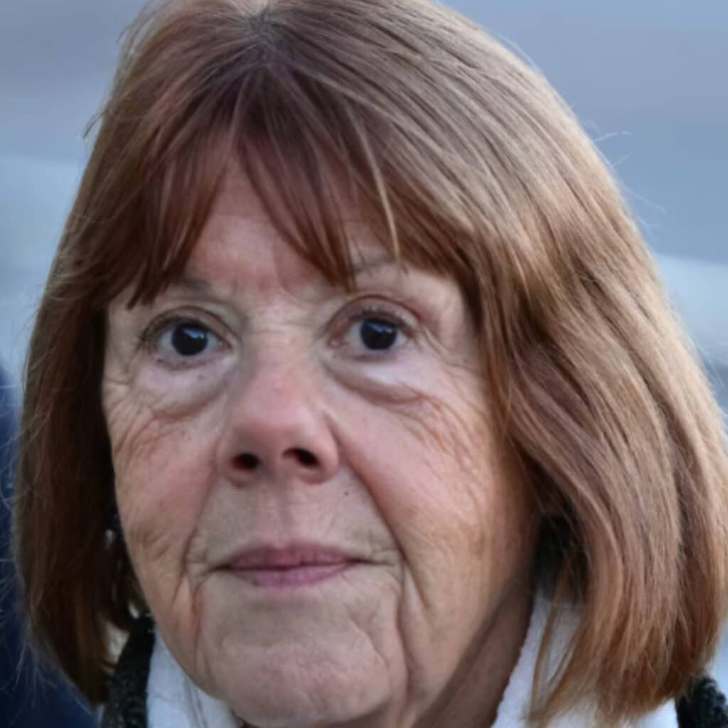 Procès de Mazan : un accusé fond en larmes face à Gisèle Pélicot