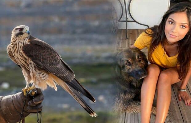 Miss France 2025 : cette candidate ostéopathe pour aigles bouleverse les codes du concours Miss Auvergne 2025
