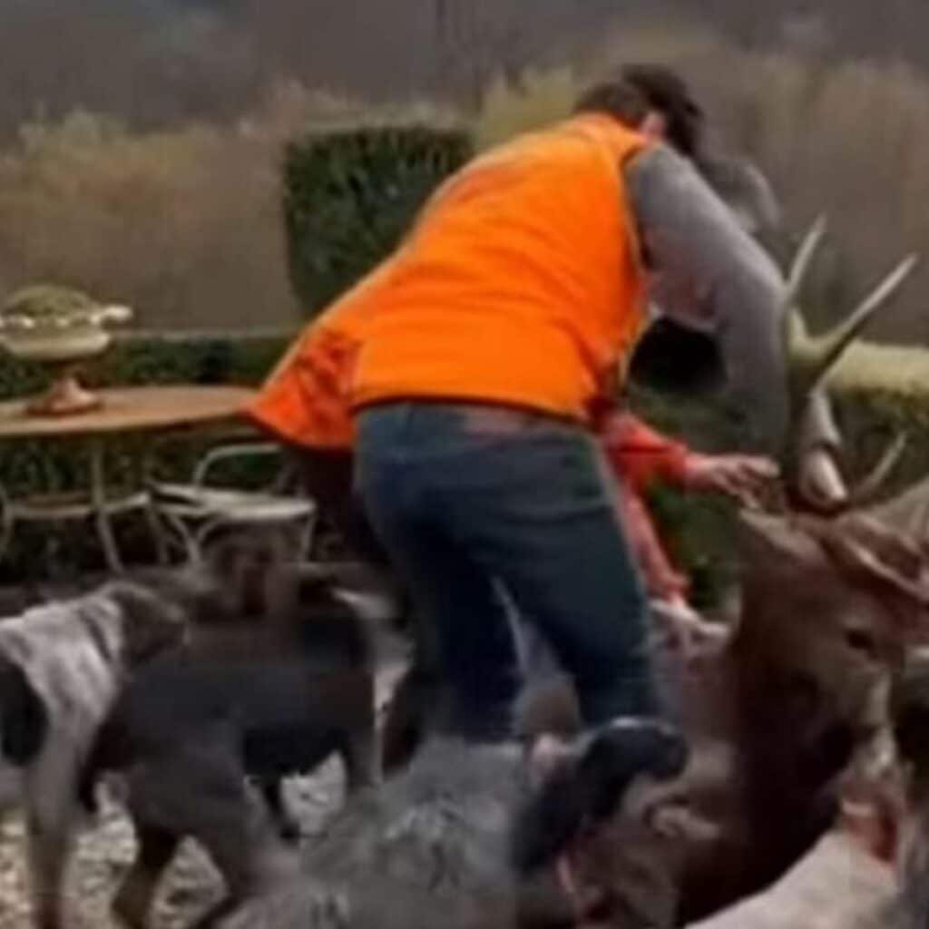 Luc Besson : des chasseurs ôtent la vie d’un cerf dans son jardin, il montre les images