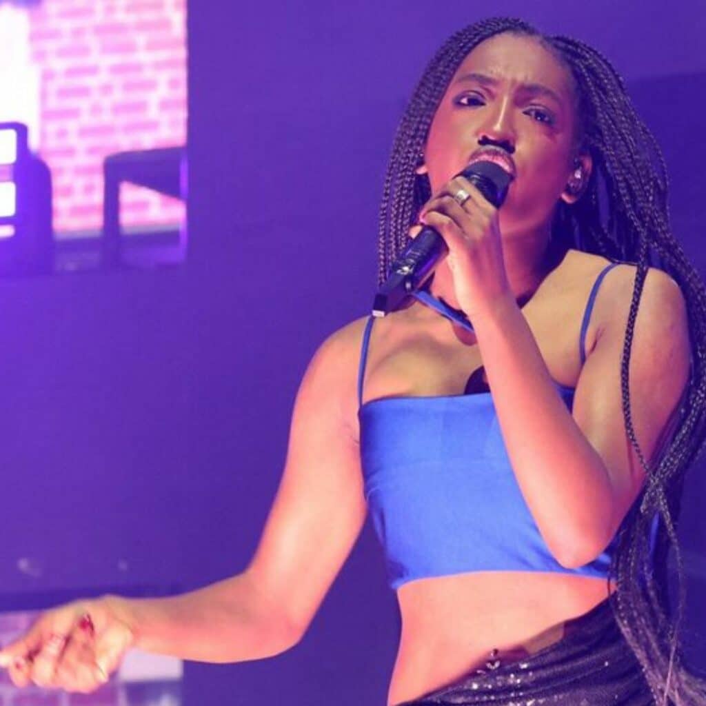 Ebony (Star Academy) : victime de racisme en plein concert, une fan raconte ce qu'il s'est passé