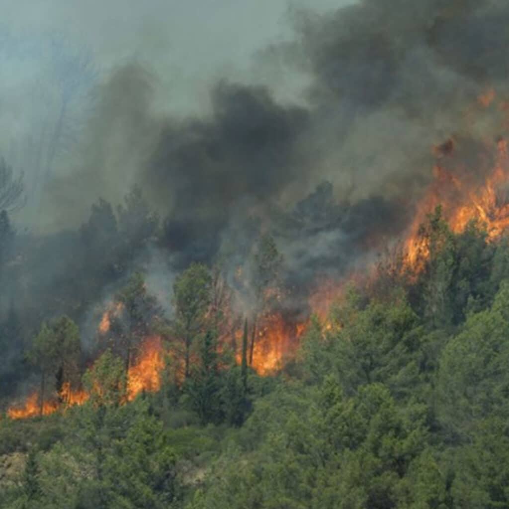 Incendie dans l'Aube : une femme refuse d'évacuer et périt dans les flammes