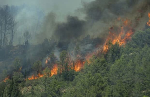 Incendie dans l'Aube : une femme refuse d'évacuer et périt dans les flammes