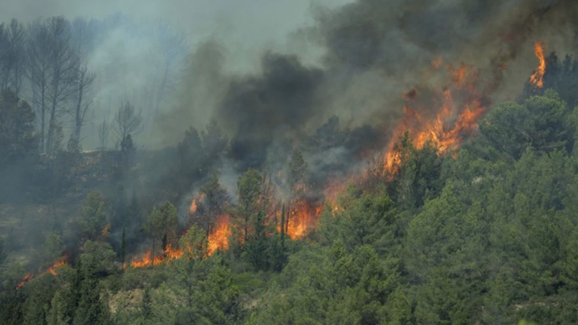 Incendie dans l'Aube : une femme refuse d'évacuer et périt dans les flammes