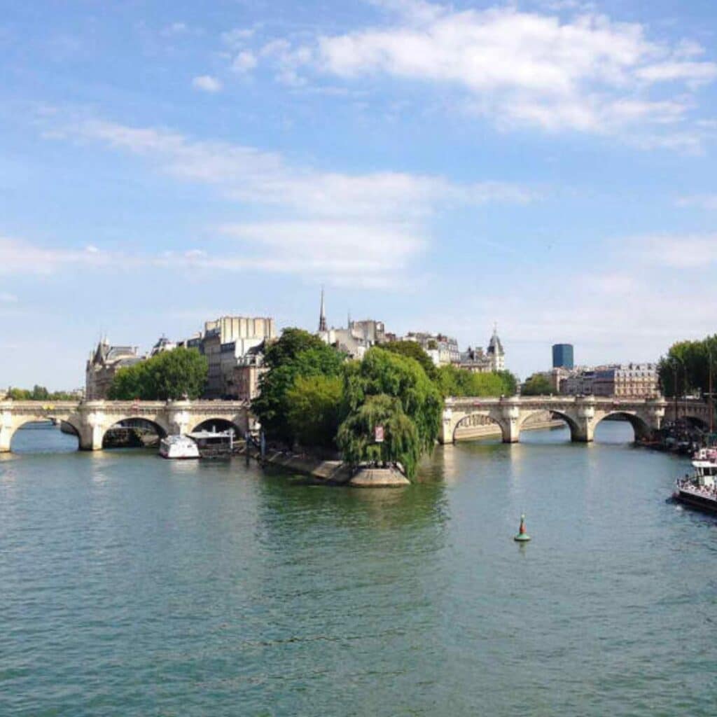 Corps retrouvés dans la Seine : le suspect interpellé et mis en examen "se faisant passer pour un Algérien"