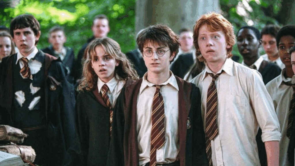 Harry Potter la série : un acteur français au casting afin de jouer des scènes inexistantes dans les livres