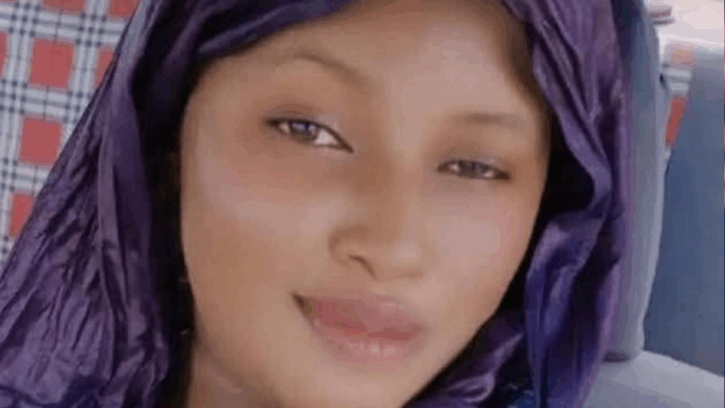 Mali : une jeune TikTokeuse exécutée en public par des djihadistes